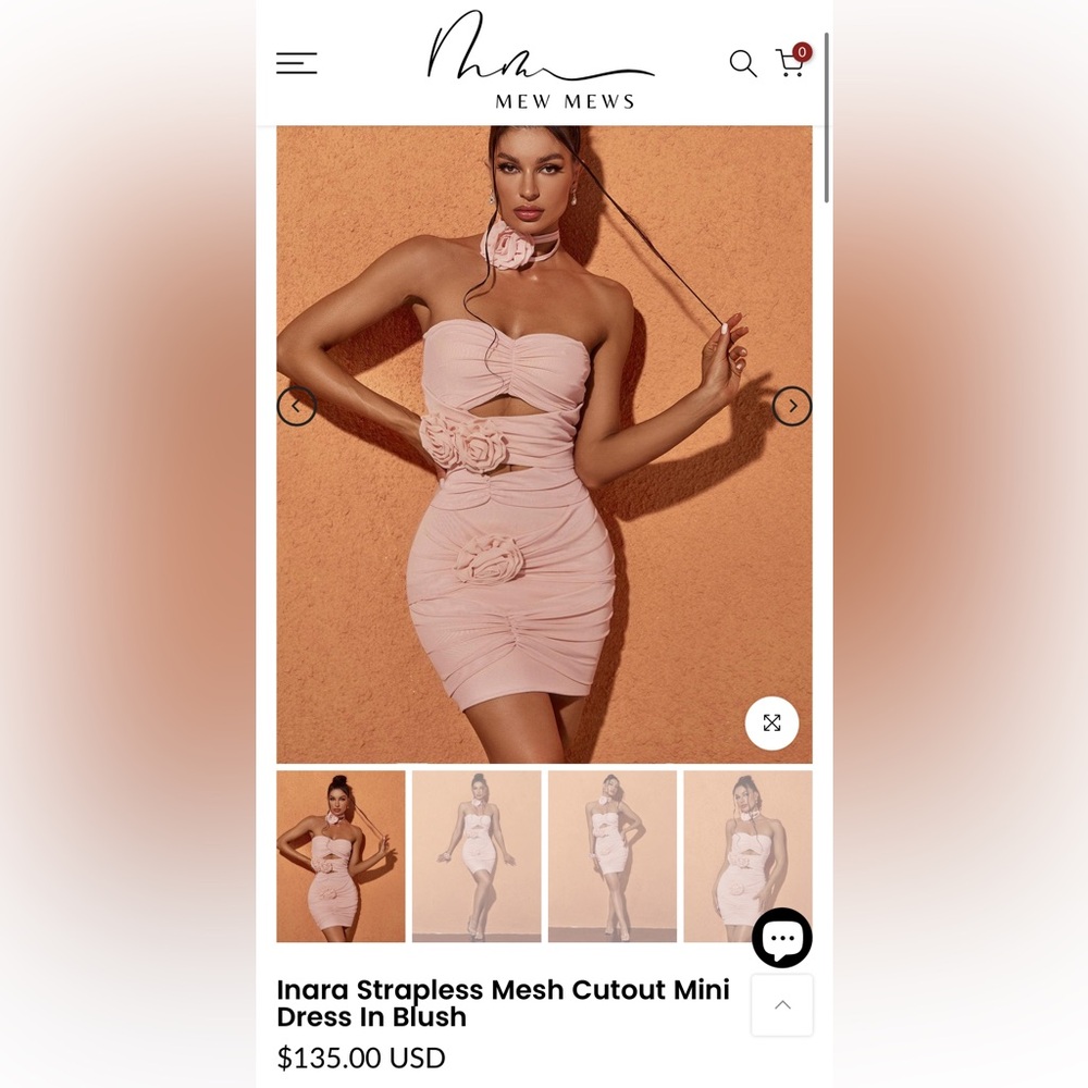 Pink or blush mew mews dress NWT
